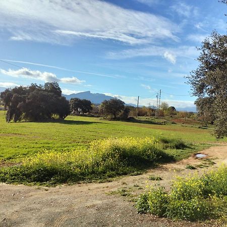 Todos Y Tonya Bed & Breakfast Archidona Bagian luar foto