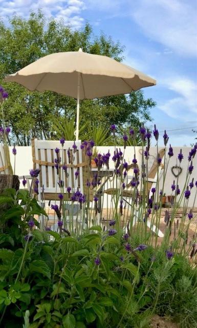 Todos Y Tonya Bed & Breakfast Archidona Bagian luar foto