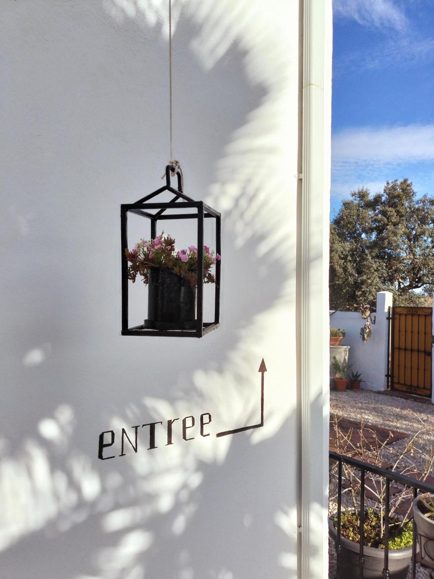 Todos Y Tonya Bed & Breakfast Archidona Bagian luar foto