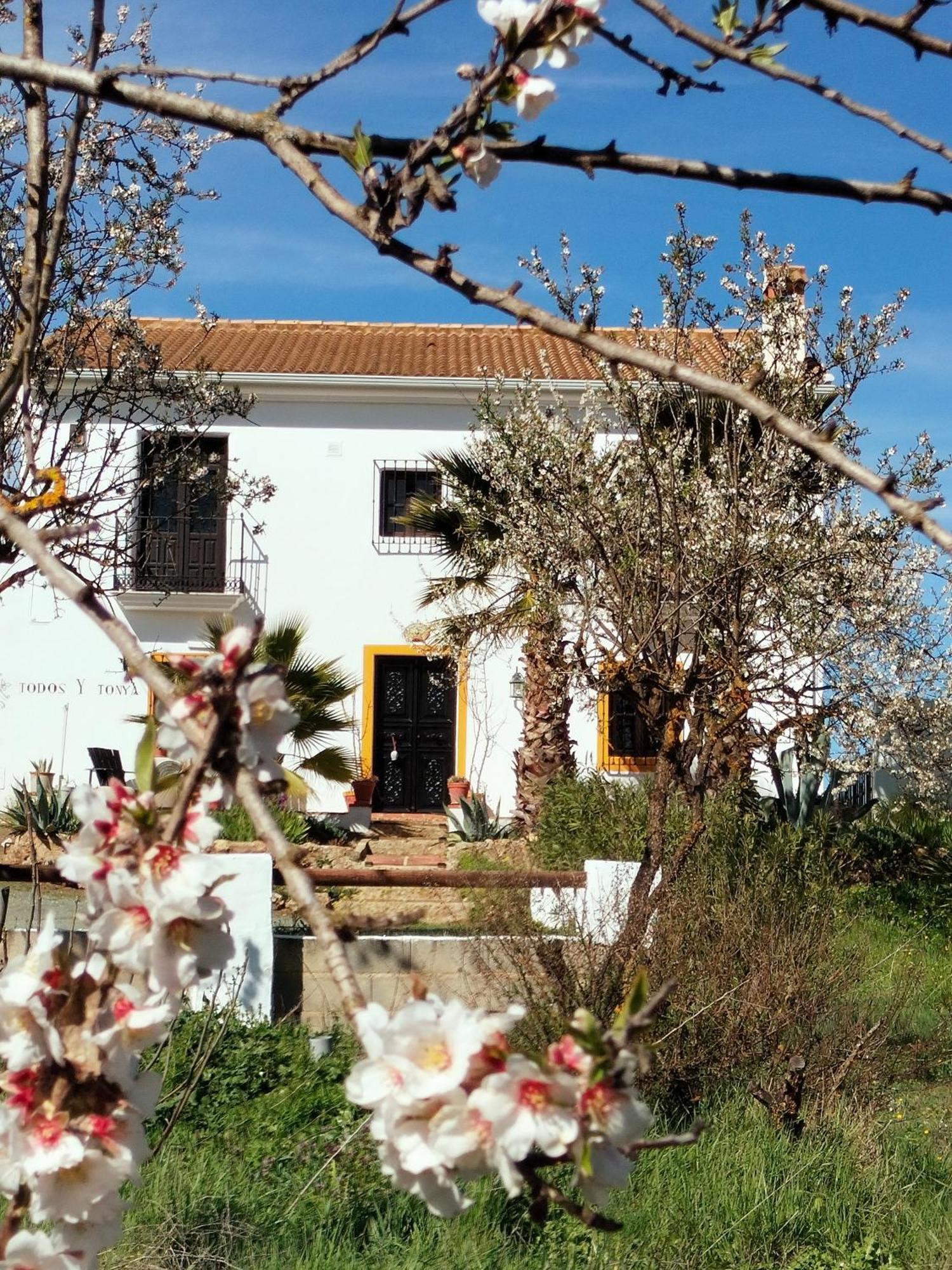 Todos Y Tonya Bed & Breakfast Archidona Bagian luar foto