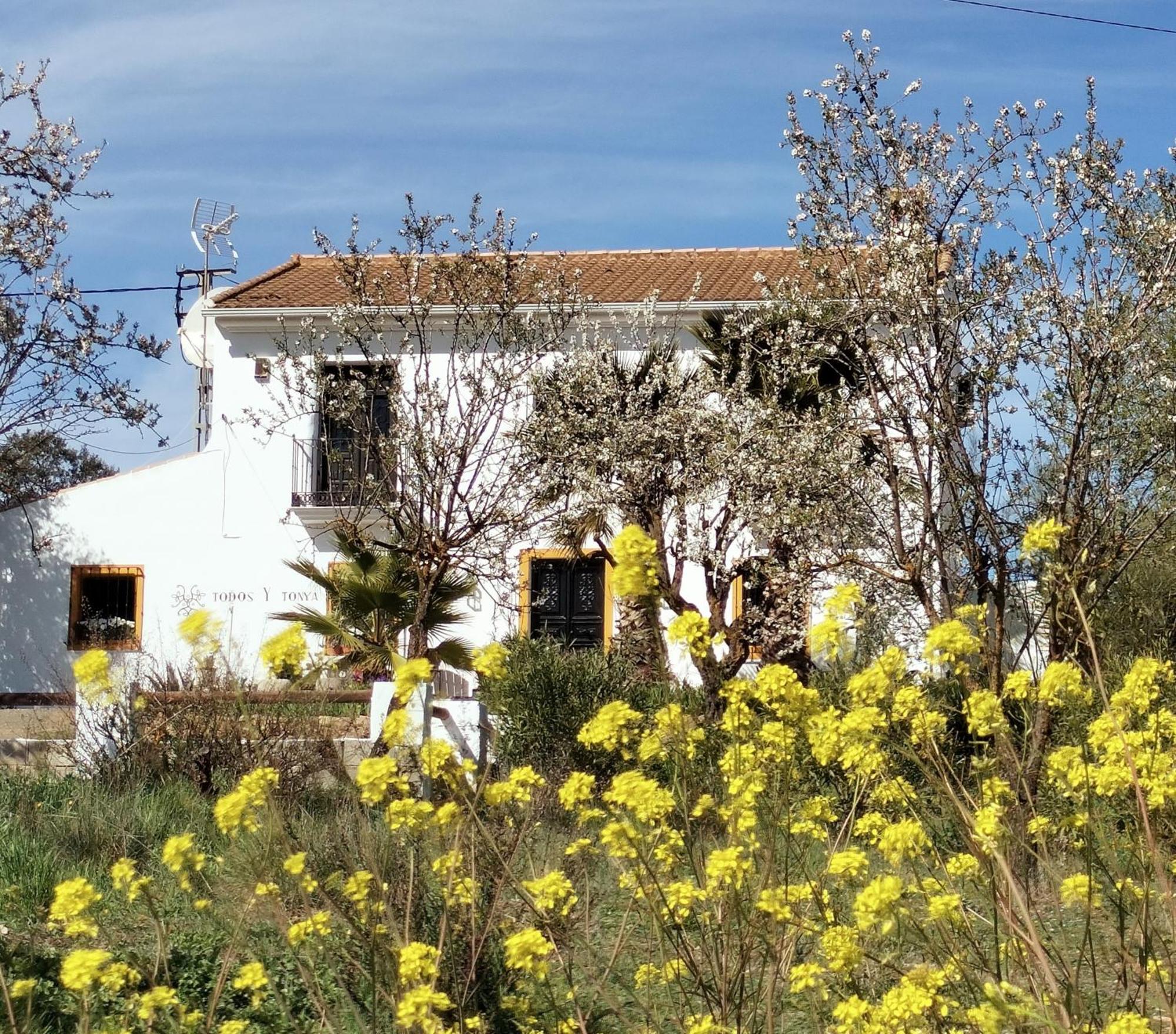Todos Y Tonya Bed & Breakfast Archidona Bagian luar foto