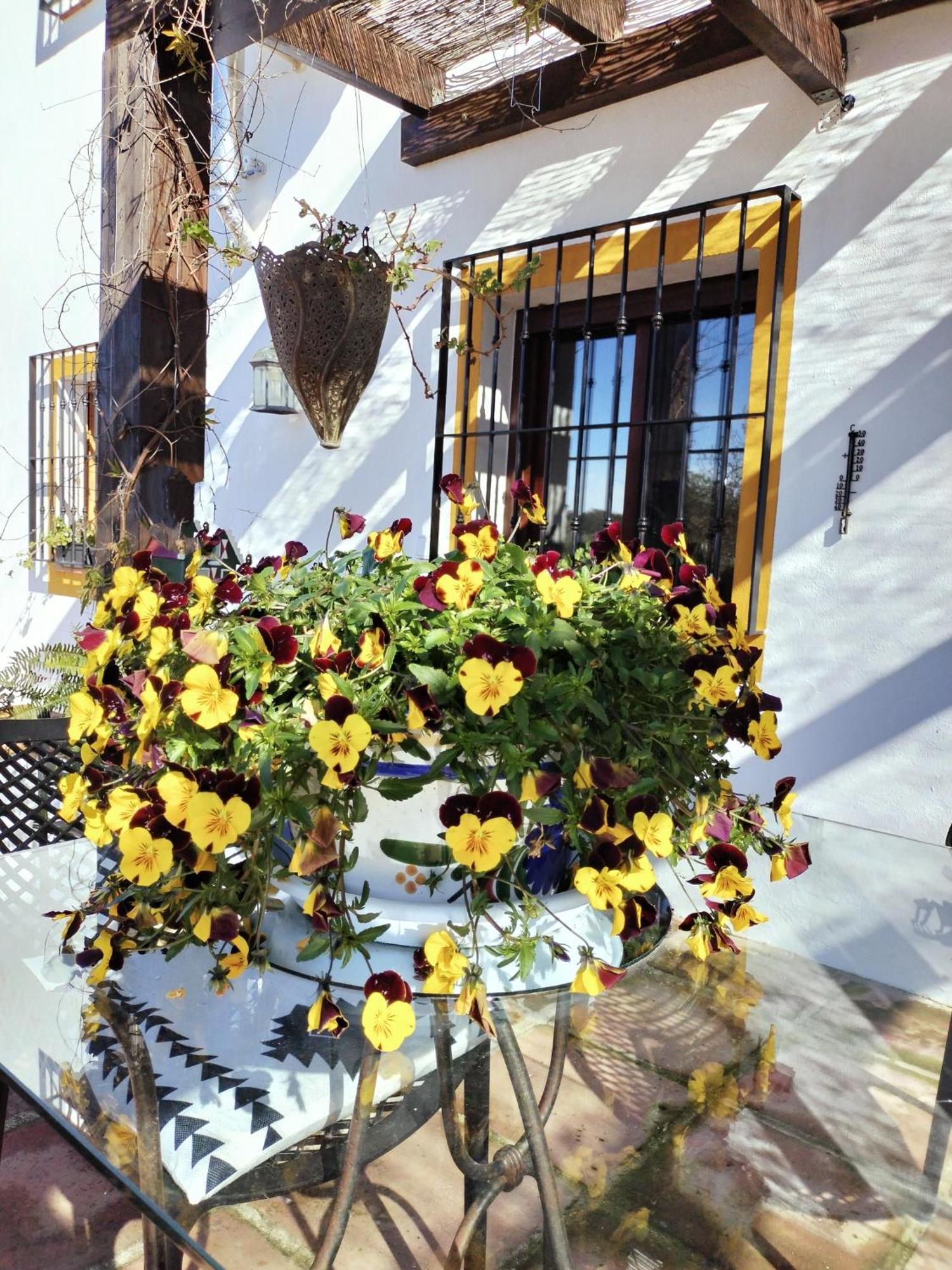 Todos Y Tonya Bed & Breakfast Archidona Bagian luar foto