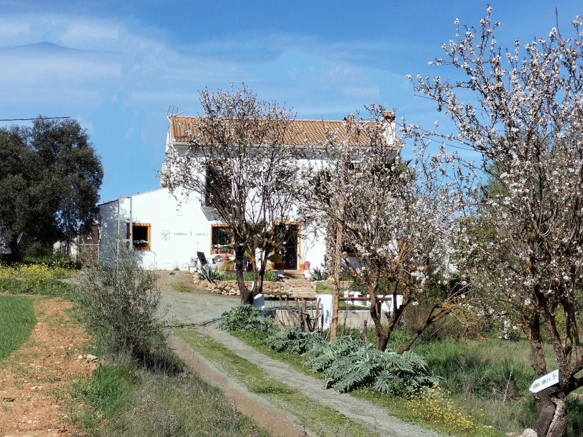 Todos Y Tonya Bed & Breakfast Archidona Bagian luar foto