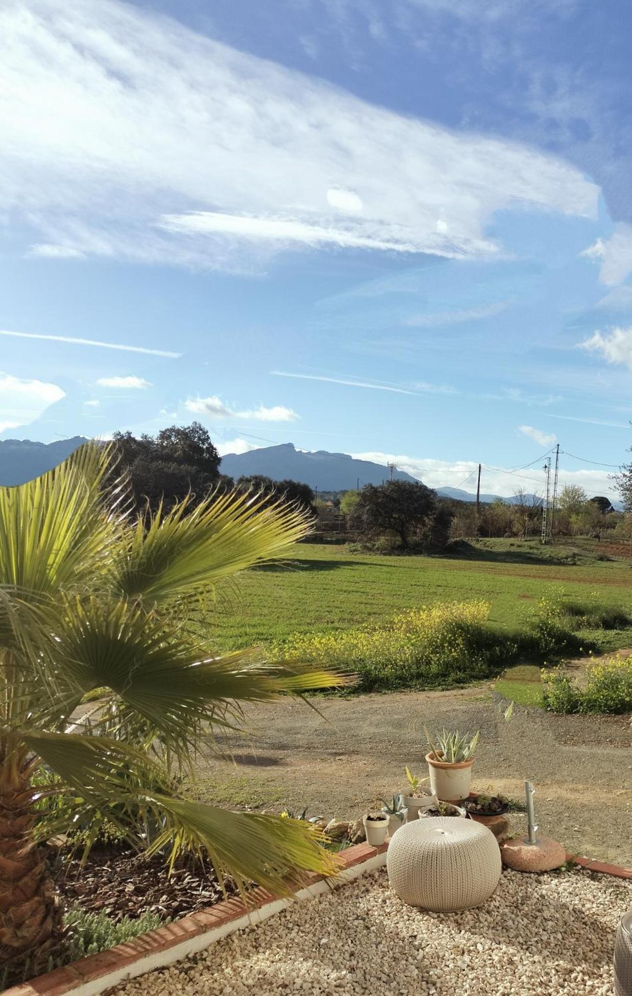 Todos Y Tonya Bed & Breakfast Archidona Bagian luar foto