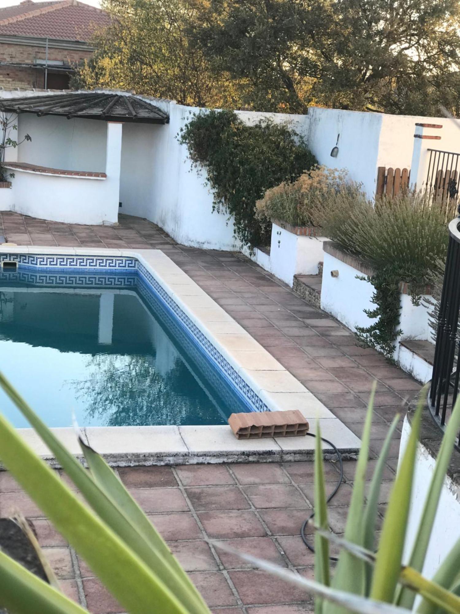 Todos Y Tonya Bed & Breakfast Archidona Bagian luar foto